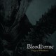 (預購)《血源詛咒》遊戲黑膠唱片(Black) Bloodborne OST