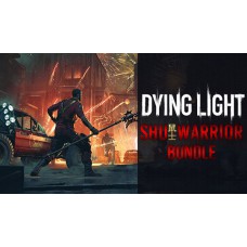 《消逝的光芒》  鼠戰士同捆包 中文數位版DLC(Dying Light - Shu Warrior Bundle)